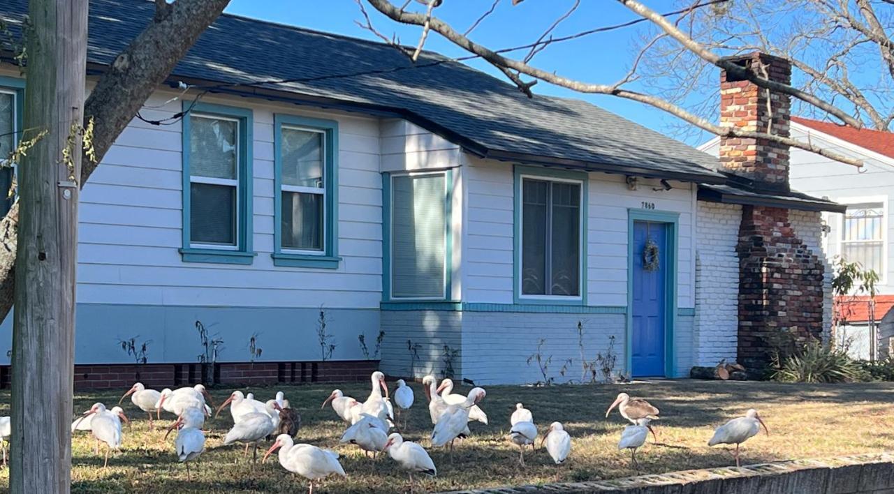 Pool Home Sleeps 6 With Large Fenced Yard Джаксънвил Екстериор снимка